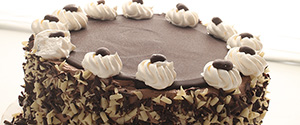 Ice Cream Cake