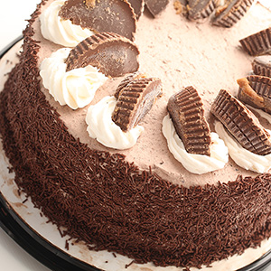 Reese's Ice Cream Cake